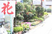 「小松島生花センター」　（徳島県小松島市）の花屋店舗写真2
